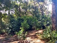 Imóvel rural no Bairro Cristal - Mairinque - SP